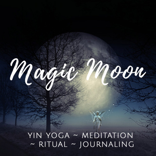 magic moon video kurs