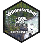 Wildnisscout-das-SRSC-Wildnistraining-online-kurs