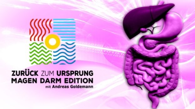 Zurück zum Ursprung - Magen Darm Edition - Online Kurs - Andreas Goldemann